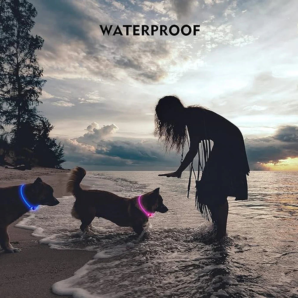 Bright Glow Dog Collar