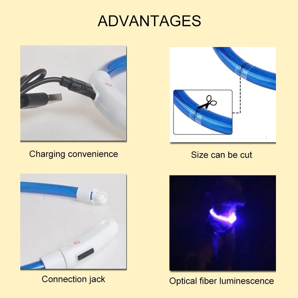 Bright Glow Dog Collar